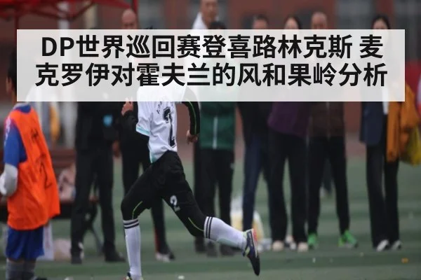 DP世界巡回赛登喜路林克斯 麦克罗伊对霍夫兰的风和果岭分析
